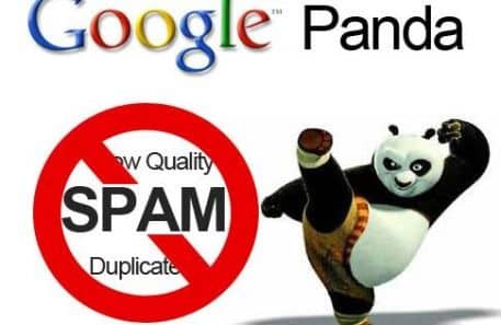 google panda 4